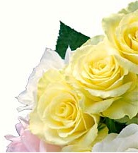 Order Flowers Today from Clarence Walker For Flowers, Inc.